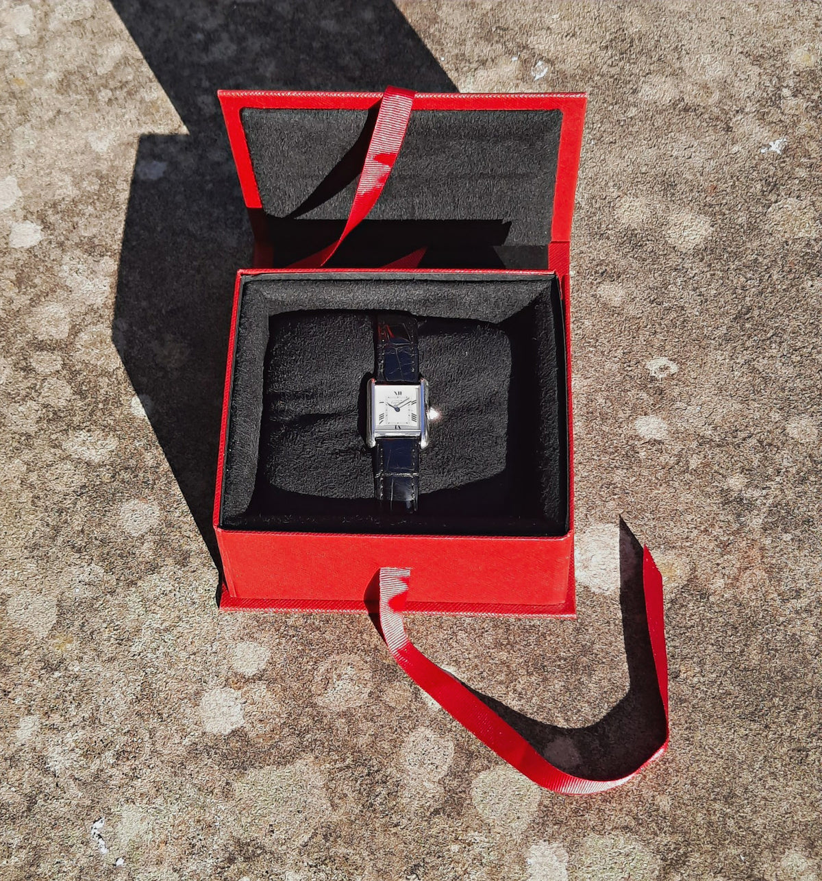 v1|178541098580|0